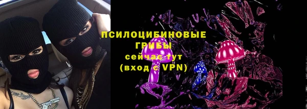 гидропоника Лагань