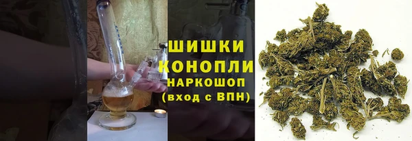 гидропоника Лагань