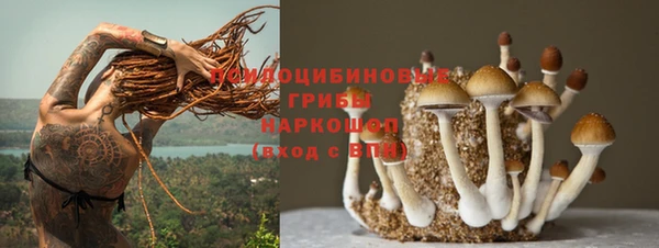 гидропоника Лагань