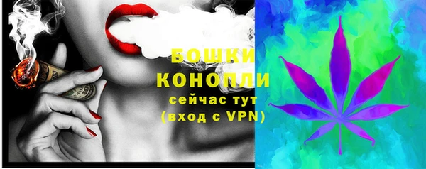 шишки Ладушкин