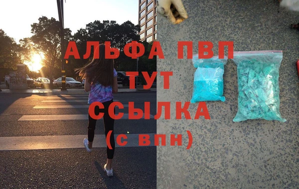 шишки Ладушкин