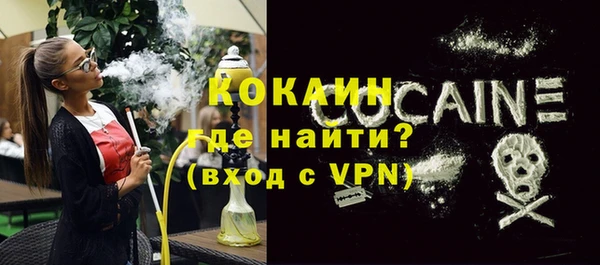 шишки Ладушкин