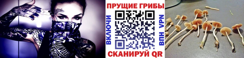 Псилоцибиновые грибы MAGIC MUSHROOMS  Муравленко 