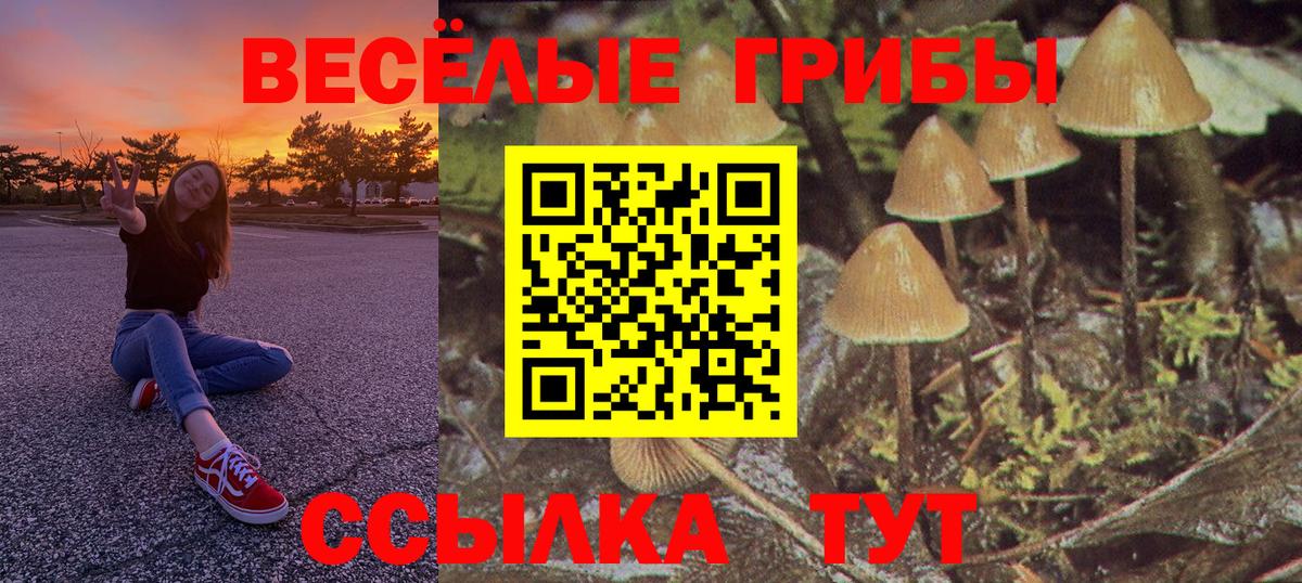 Галлюциногенные грибы GOLDEN TEACHER  что такое   Муравленко  Вход с VPN 