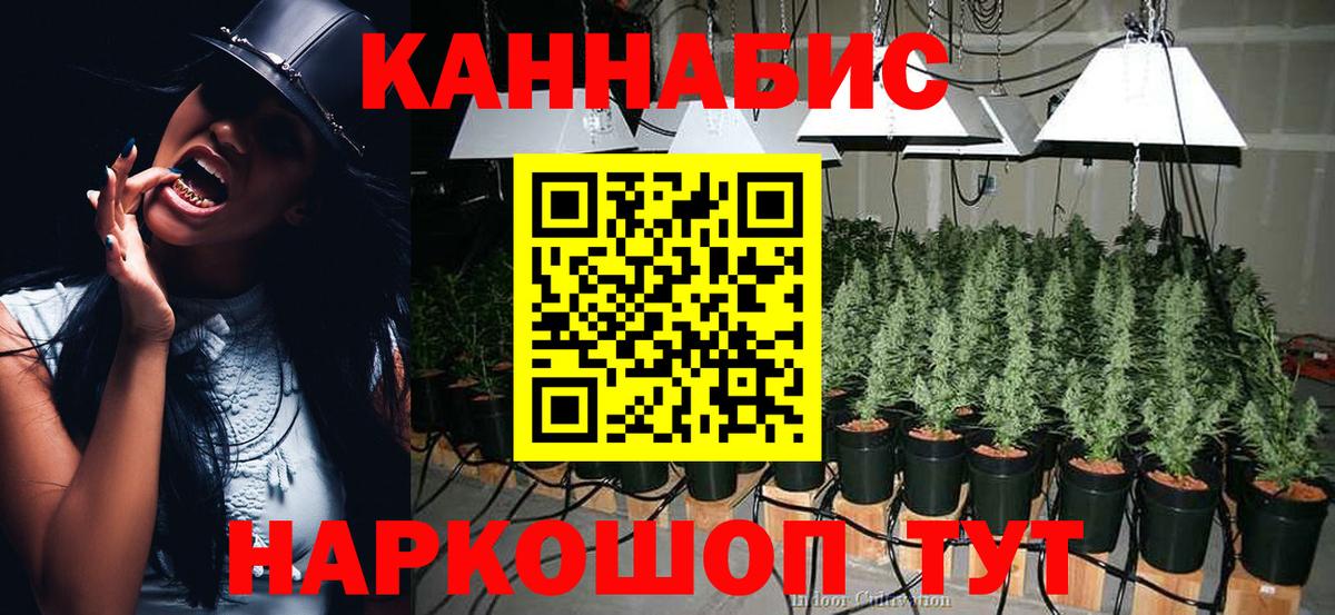 Муравленко  Бошки марихуана Bruce Banner  Шишки марихуана планчик  Канабис индика  Шишки марихуана семена  Вход с VPN 